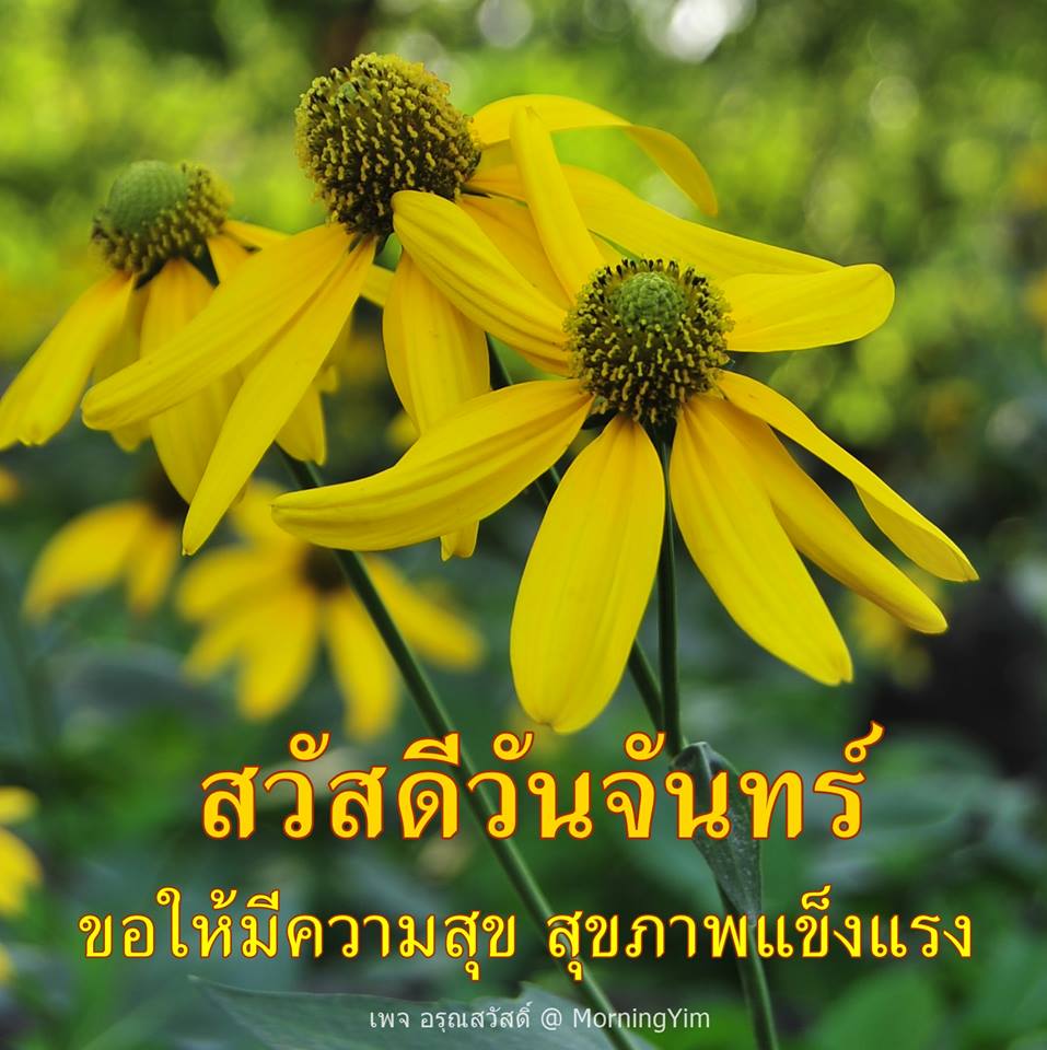 สวัสดีวันจันทร์