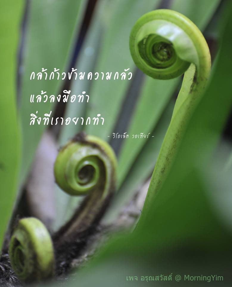 คำคม ชีวิต ความรัก กำลังใจ