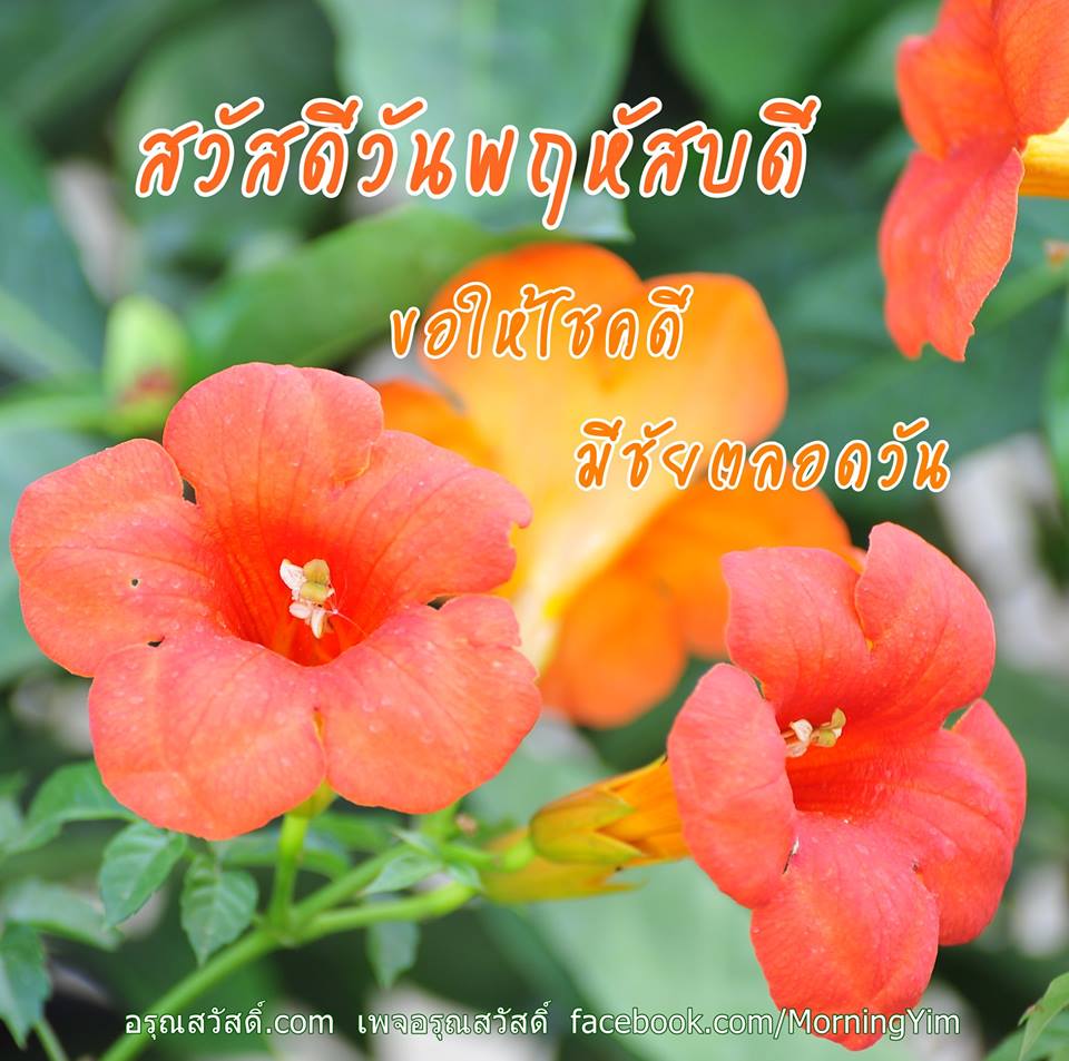 สวัสดีวันพฤหัสบดี