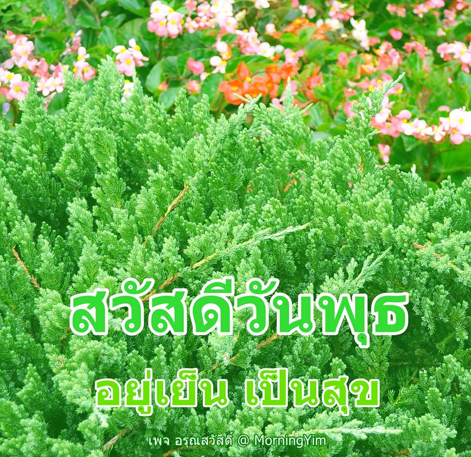 สวัสดีวันพุธ