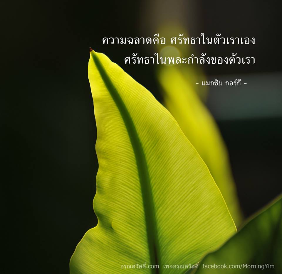 คำคม ชีวิต ความรักและกำลังใจ
