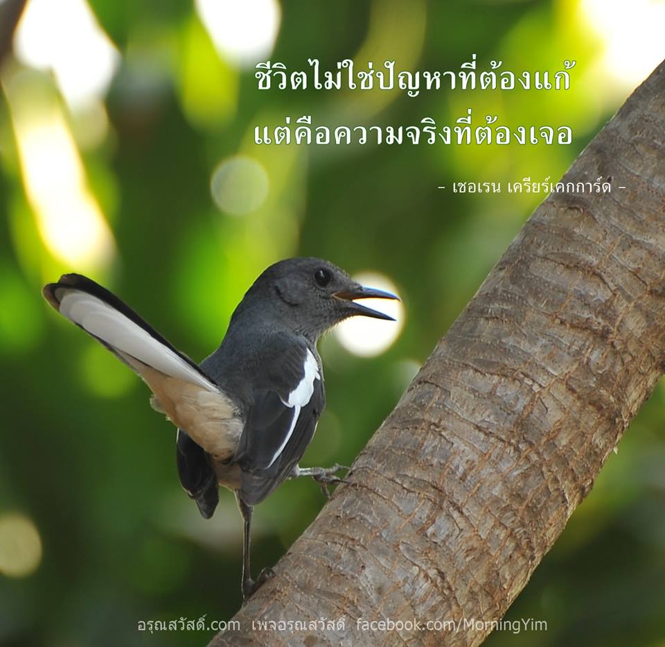 คำคม ชีวิต ความรักและกำลังใจ