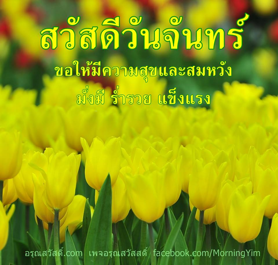 My Image 4