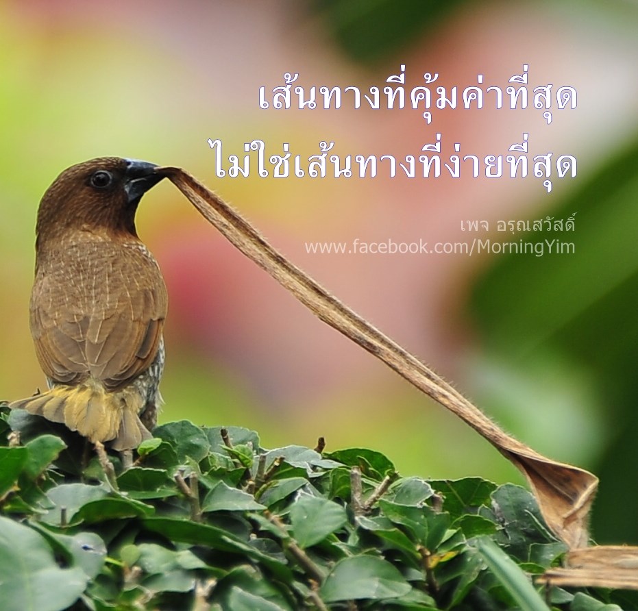 คำคม ชีวิต ความรัก กำลังใจ