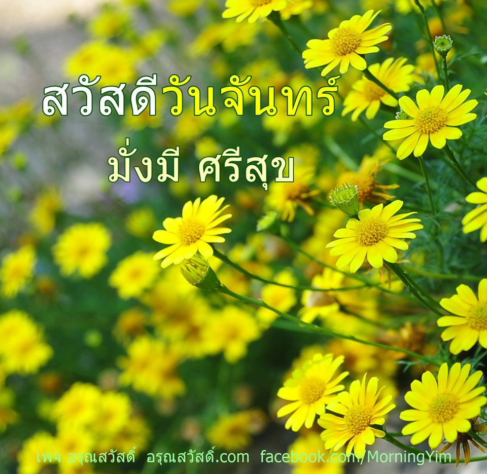 สวัสดีวันจันทร์