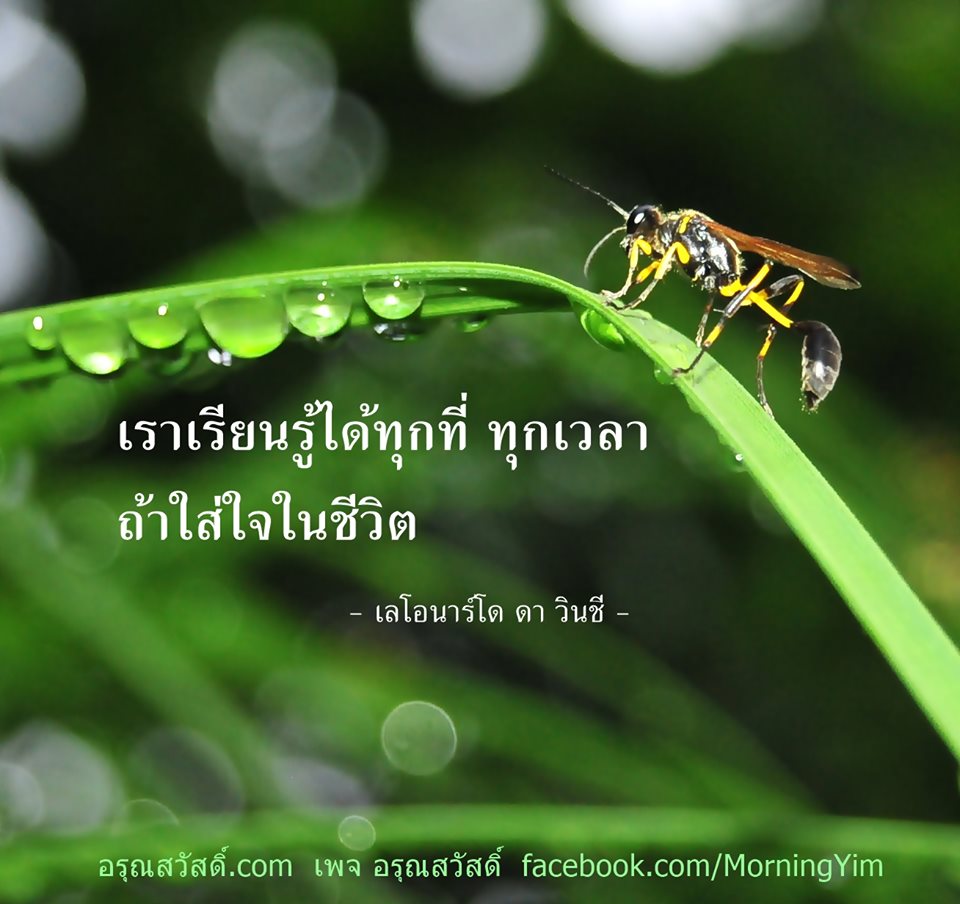 คำคม ชีวิต ความรัก กำลังใจ
