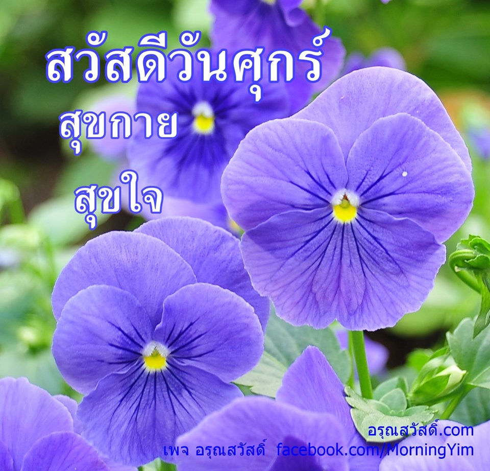 สวัสดีวันศุกร์