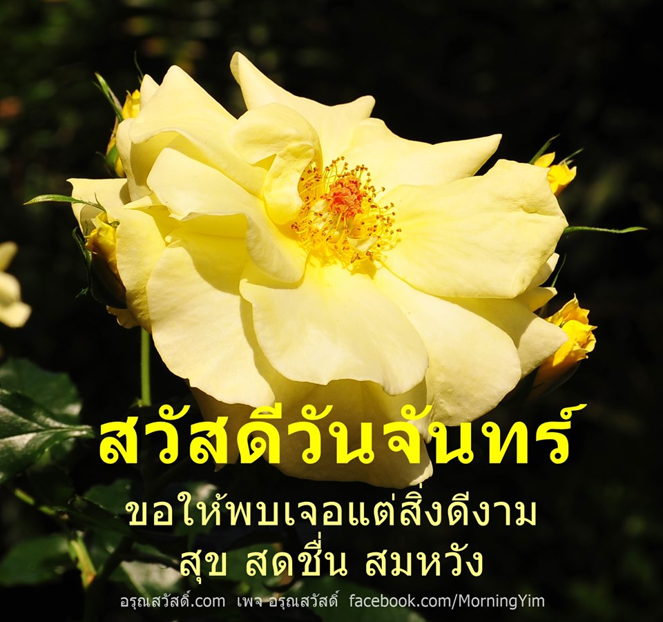 สวัสดีวันจันทร์