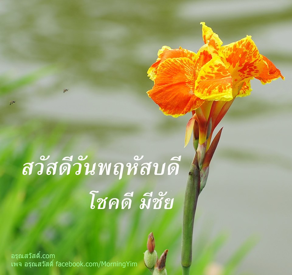 สวัสดีวันพฤหัสบดี