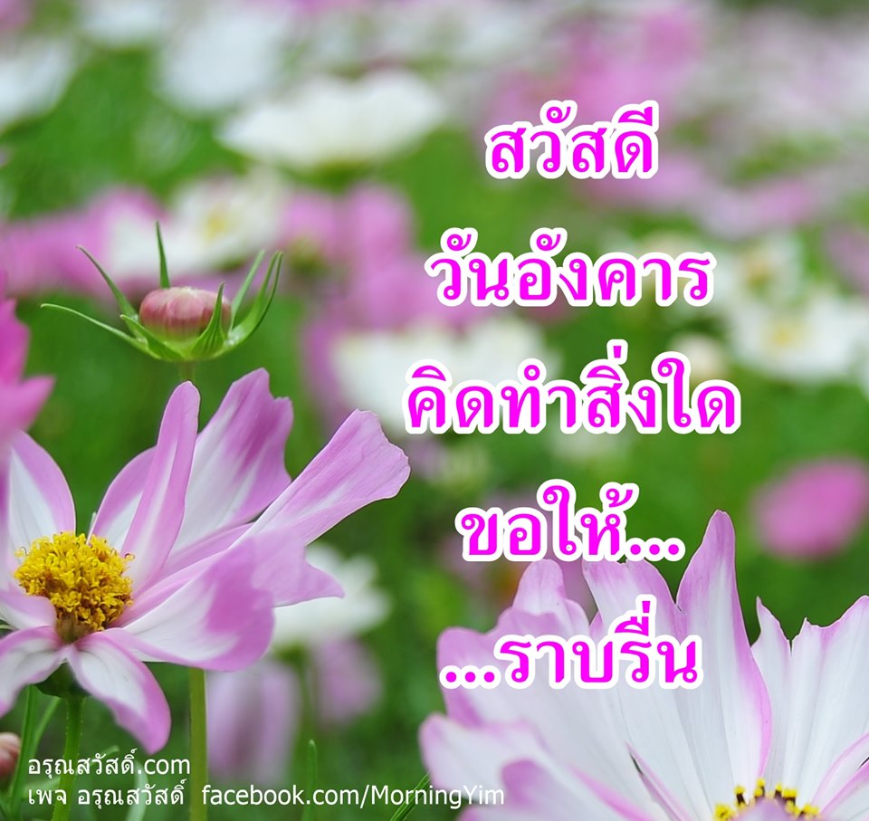 สวัสดีวันอังคาร