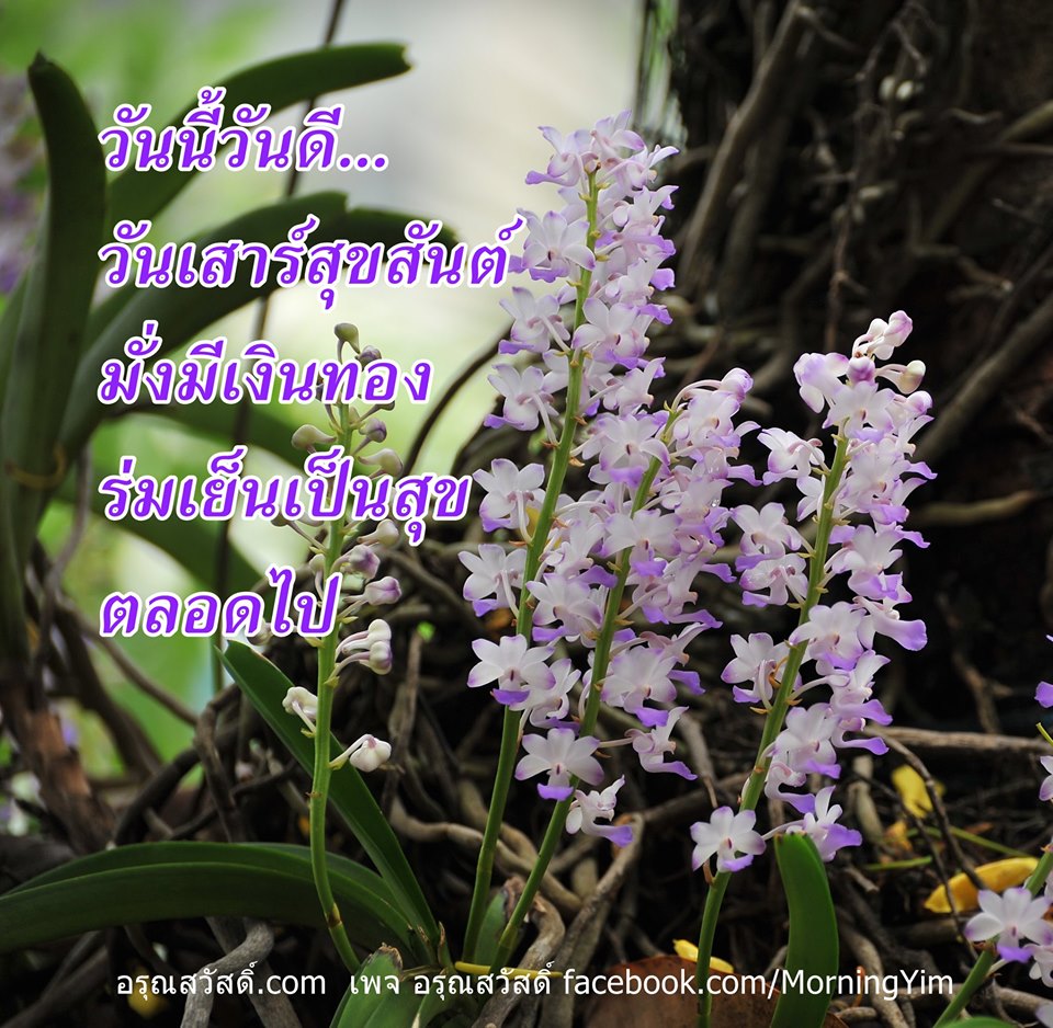 สวัสดีวันเสาร์
