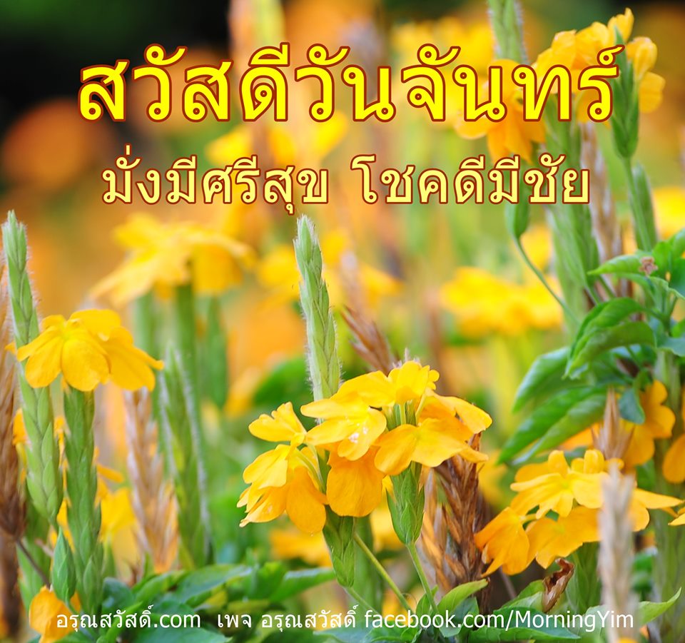 สวัสดีวันจันทร์