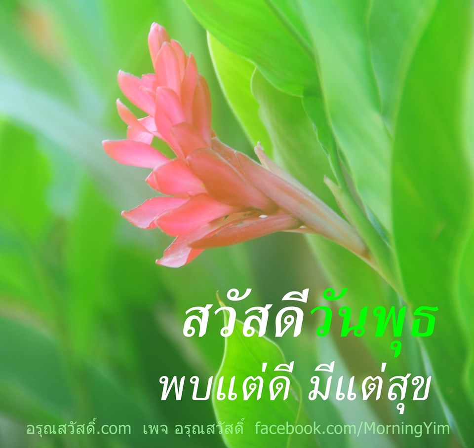 สวัสดีวันพุธ