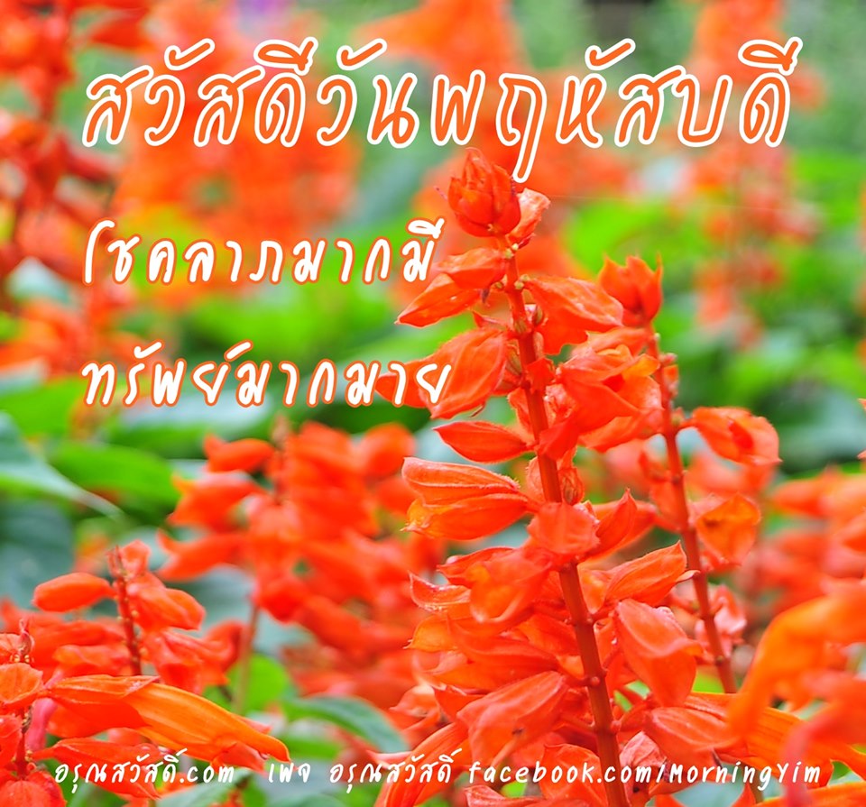 สวัสดีวันพฤหัสบดี