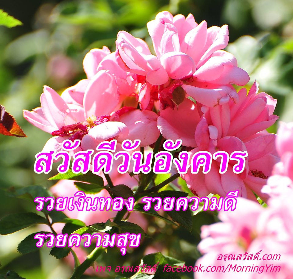 สวัสดีวันอังคาร