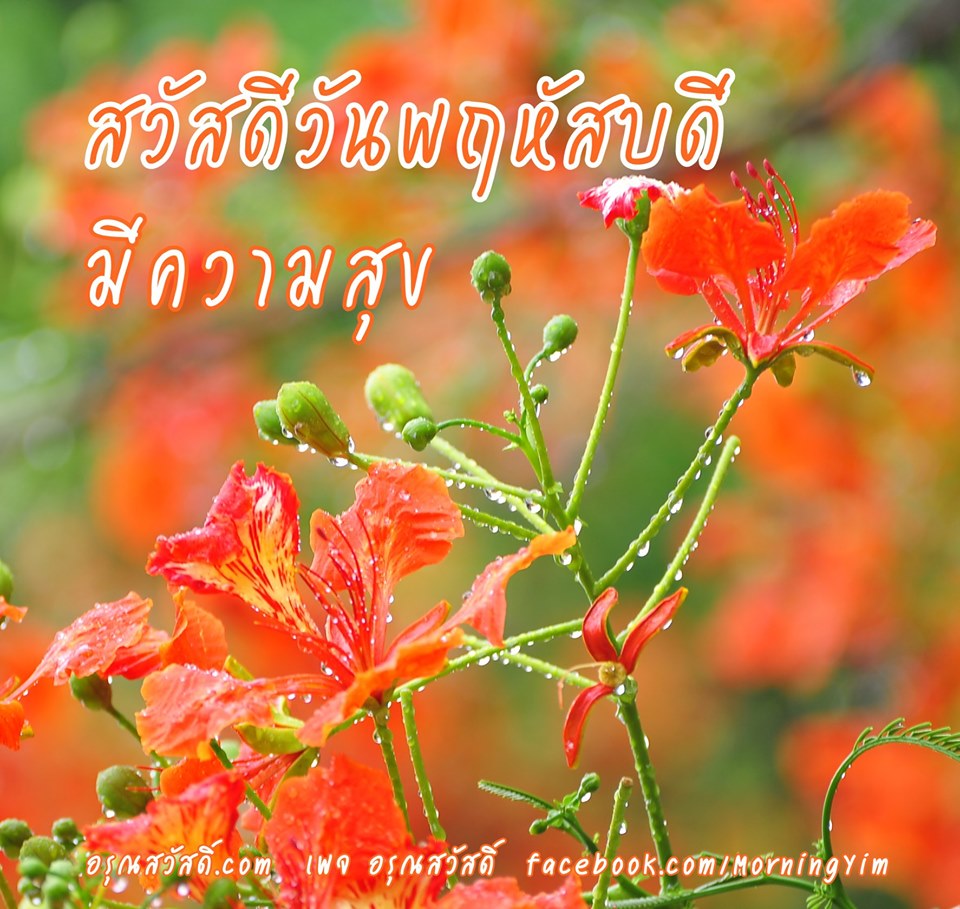 สวัสดีวันพฤหัสบดี