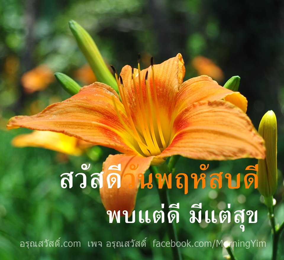 สวัสดีวันพฤหัสบดี