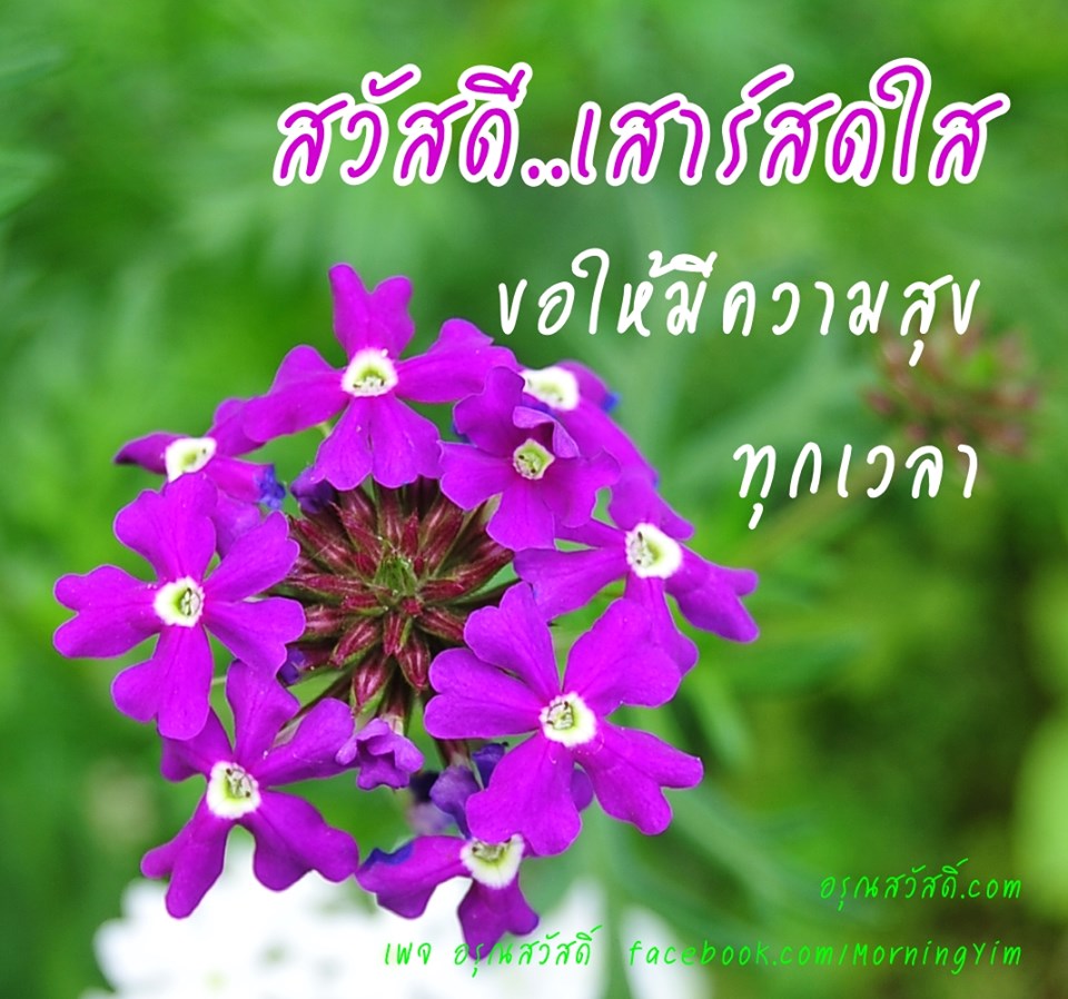 สวัสดีวันเสาร์