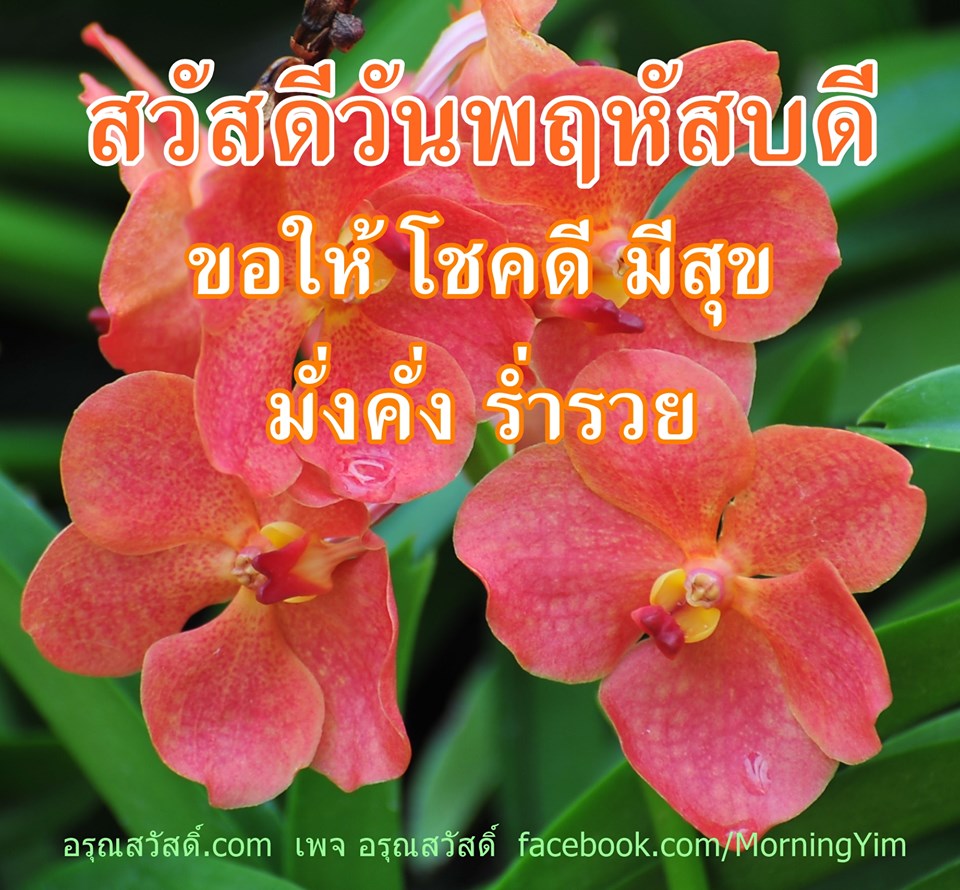 สวัสดีวันพฤหัสบดี