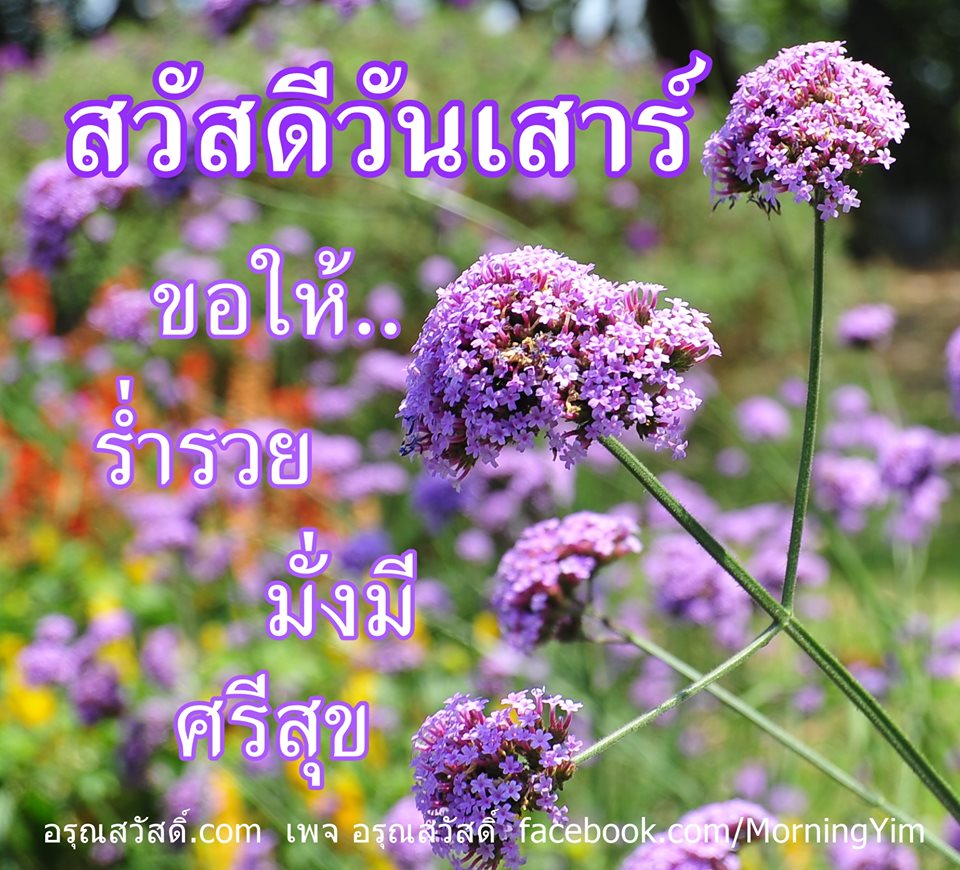 สวัสดีวันเสาร์