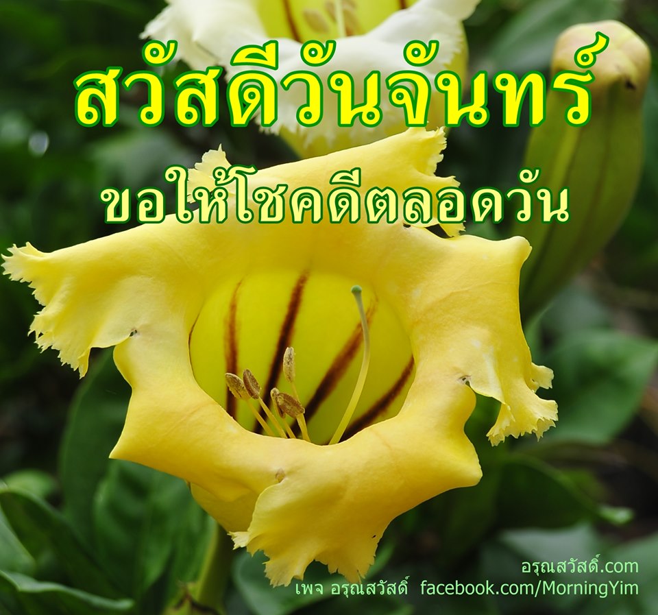 สวัสดีวันจันทร์