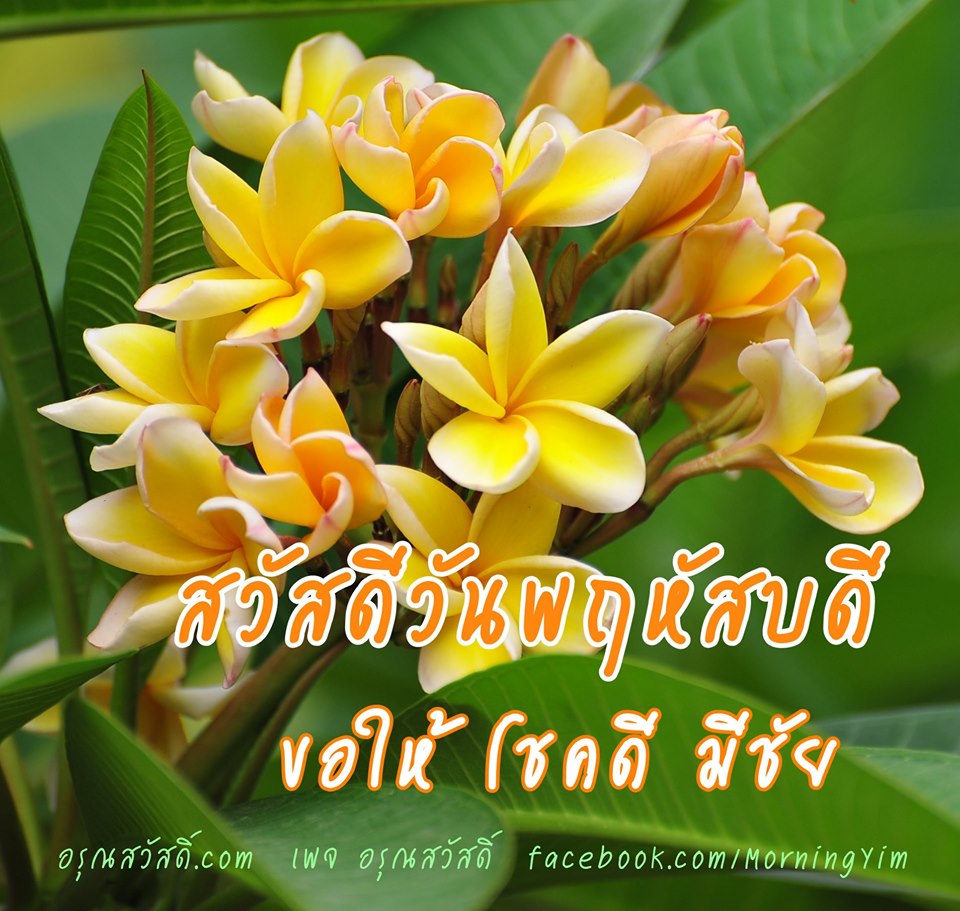 สวัสดีวันพฤหัสบดี