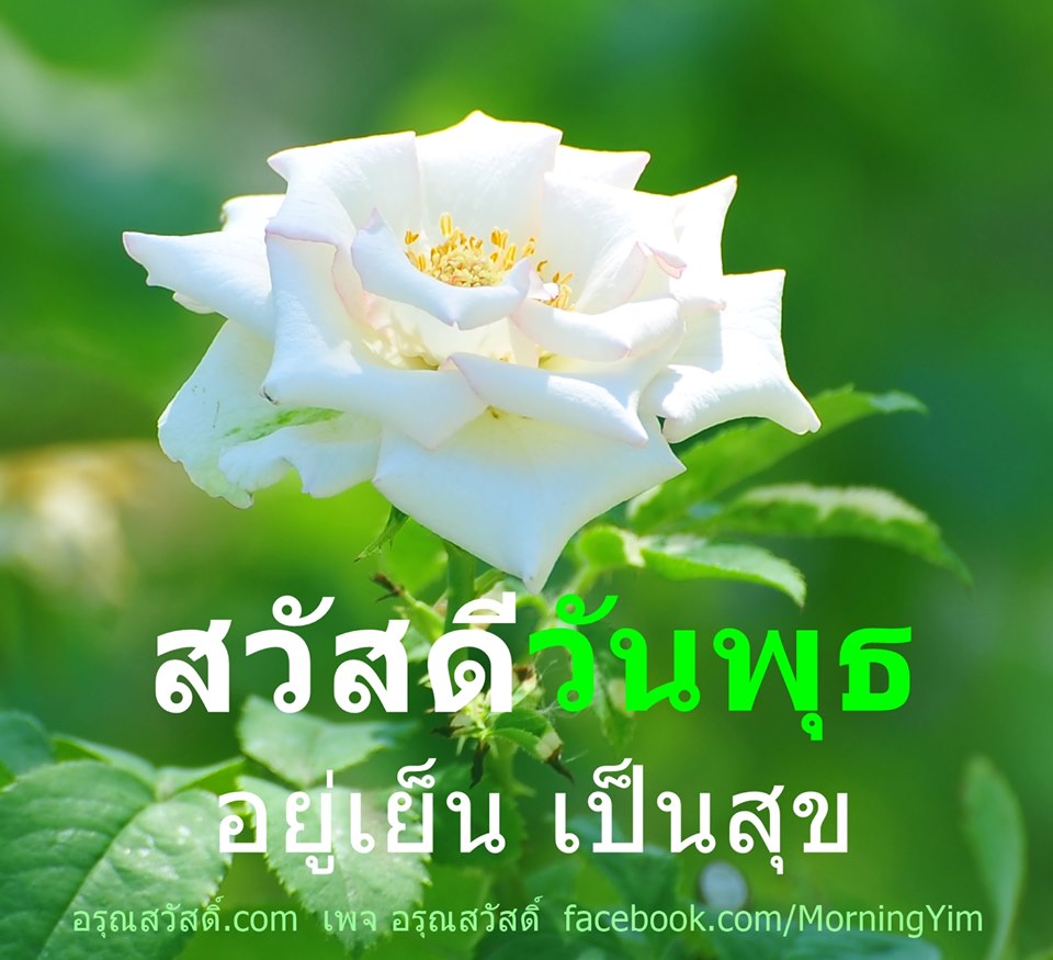 สวัสดีวันพุธ