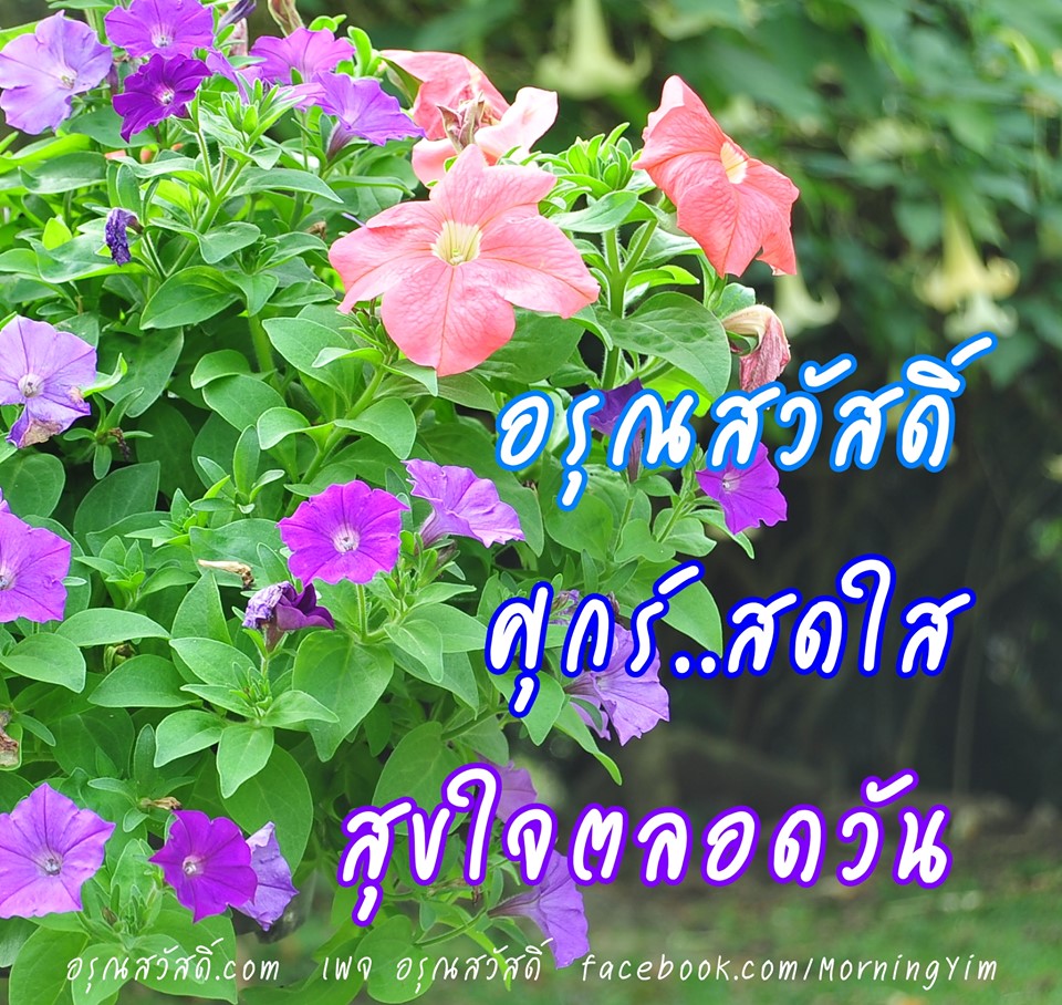อรุณสวัสดิ์วันศุกร์