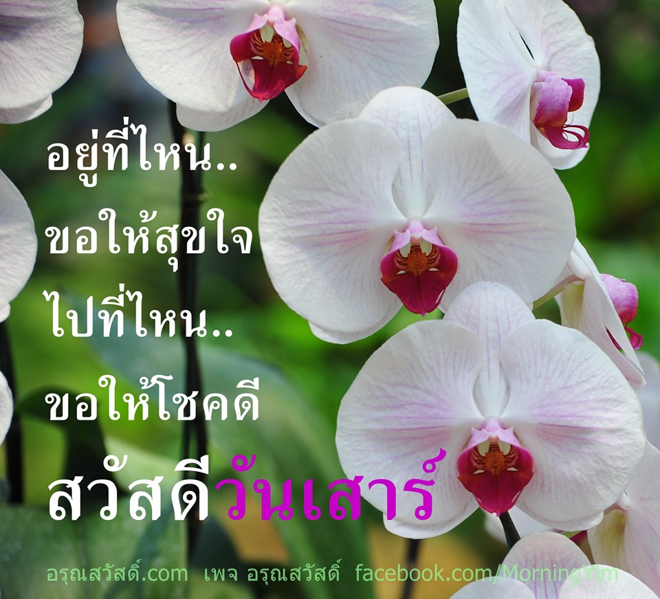 สวัสดีวันเสาร์