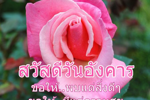 สวัสดีวันอังคาร