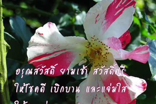 อรุณสวัสดิ์