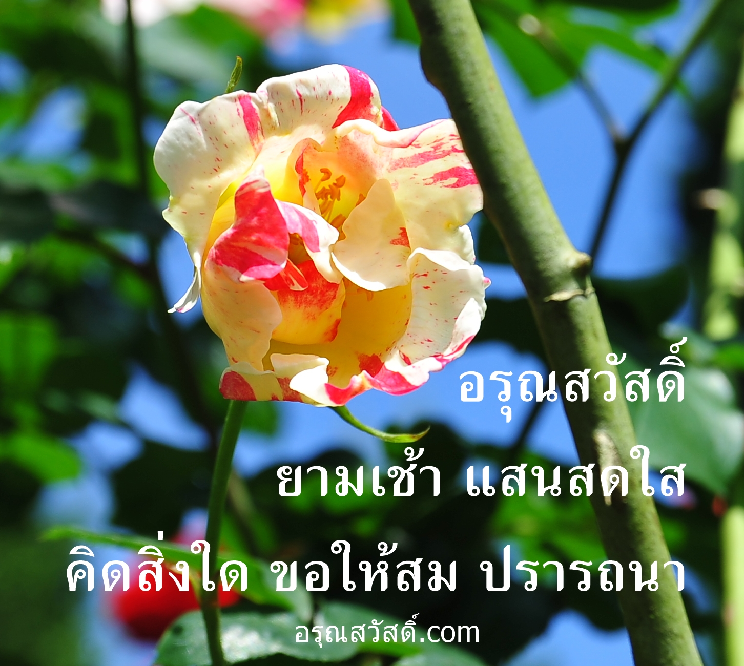 อรุณสวัสดิ์