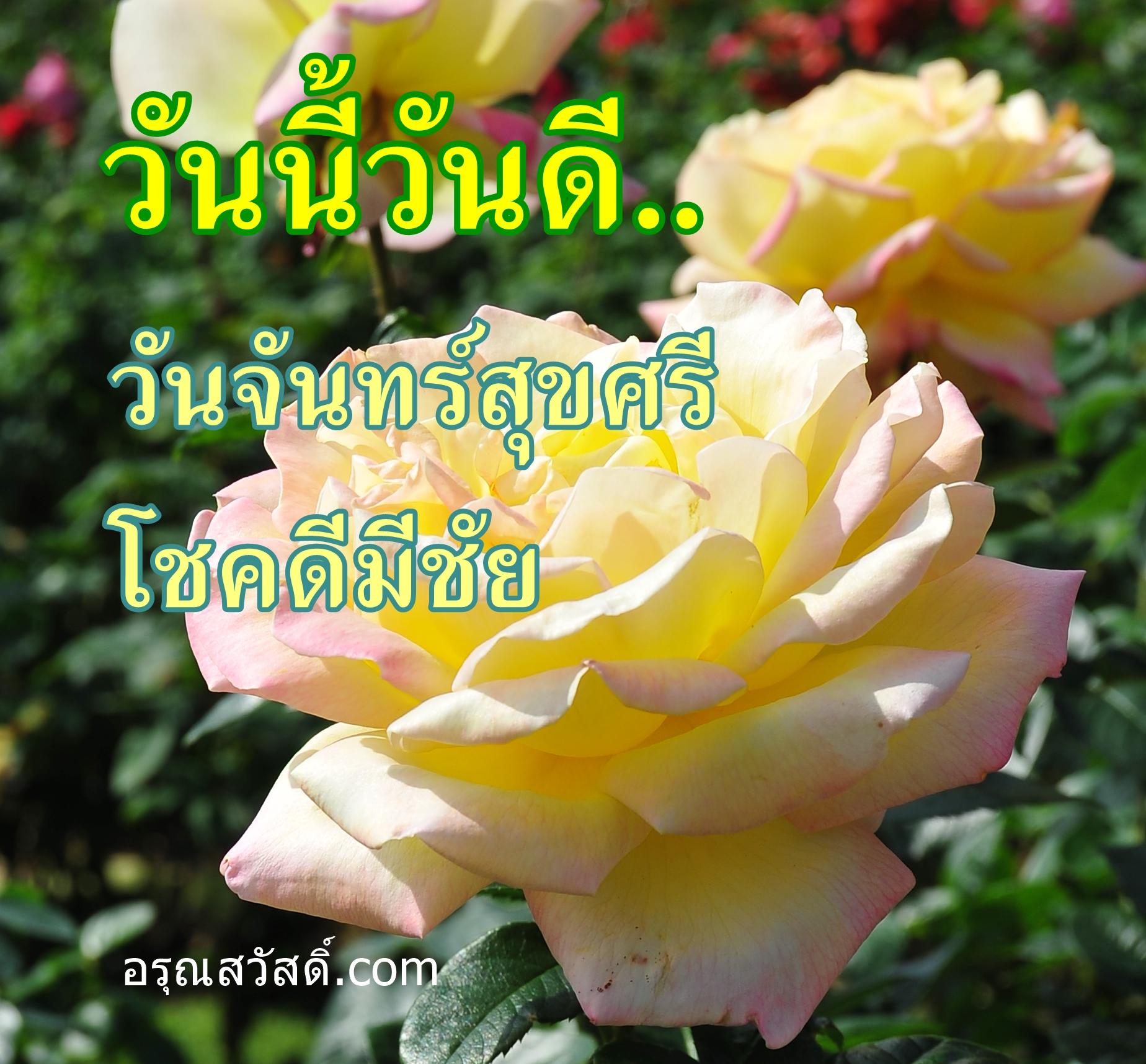 อรุณสวัสดิ์วันจันทร์