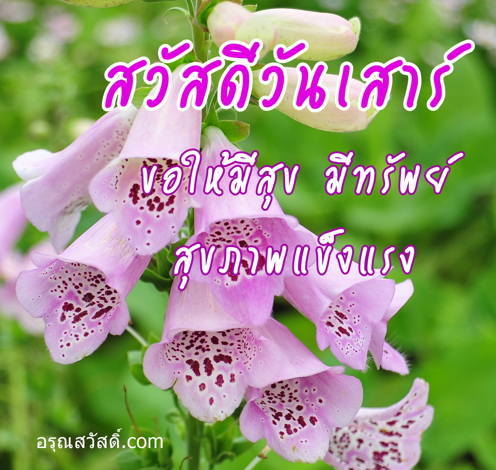 สวัสดีวันเสาร์