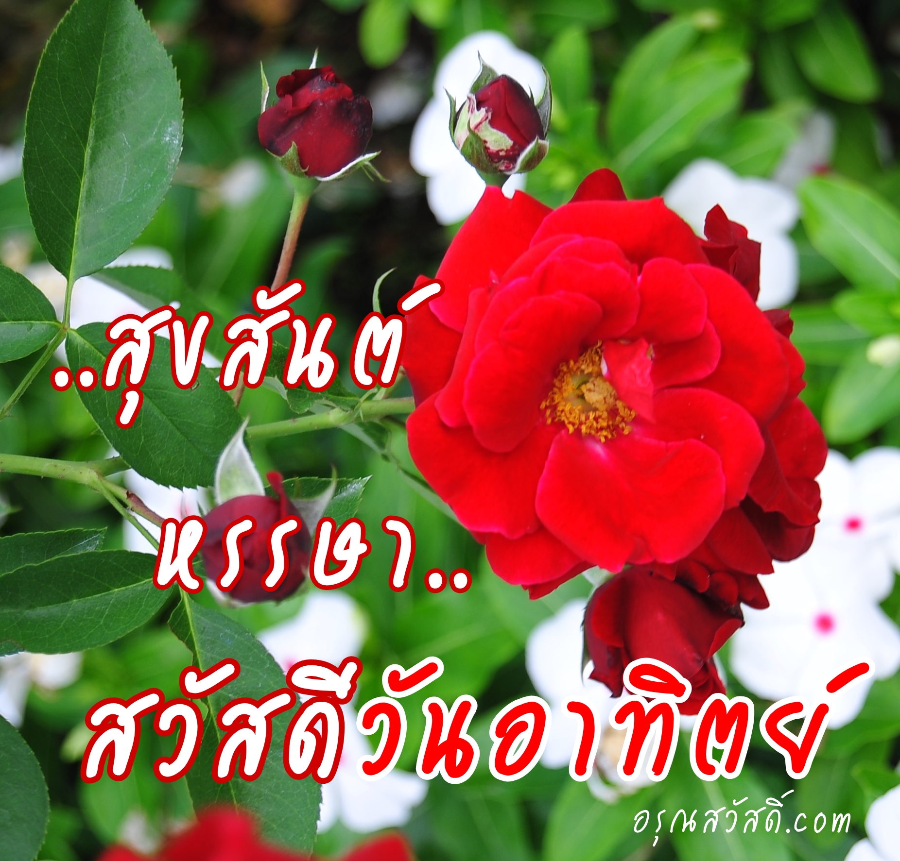 สวัสดีวันอาทิตย์