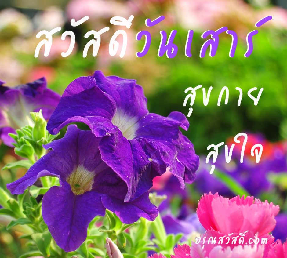 สวัสดีวันเสาร์
