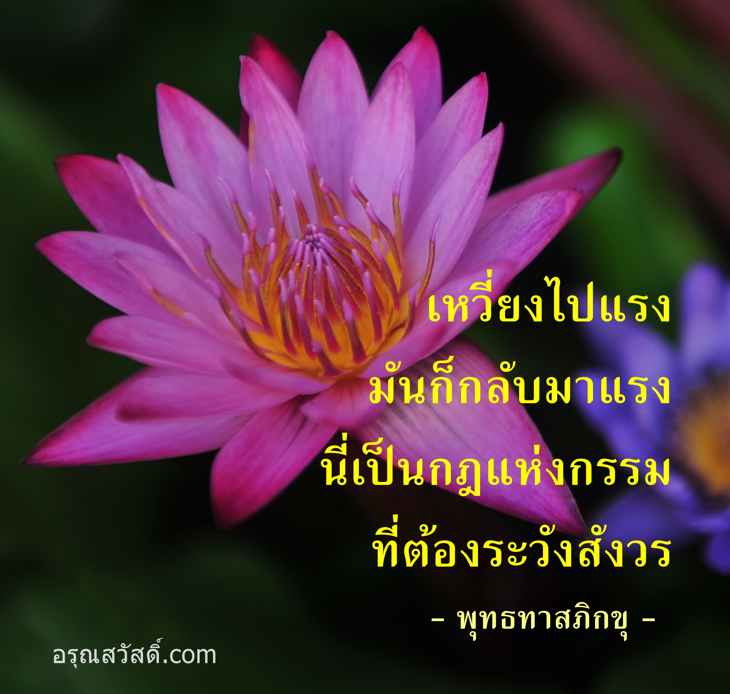 คำสอนพระ ธรรมมะ ข้อคิดดีๆ