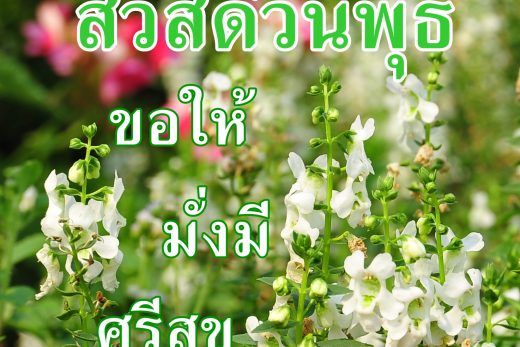 สวัสดีวันพุธ
