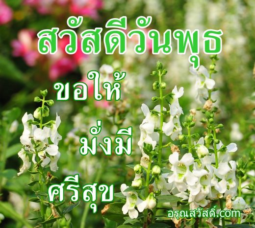 สวัสดีวันพุธ