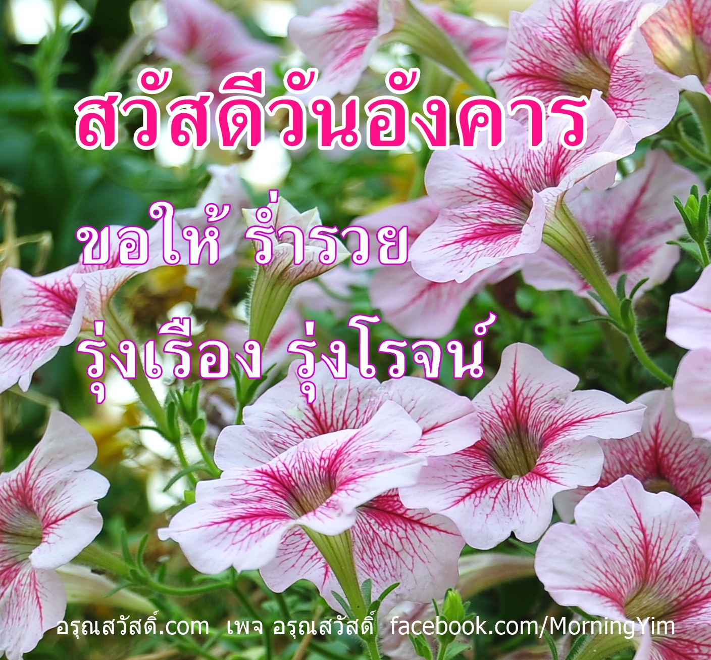 สวัสดีวันอังคาร