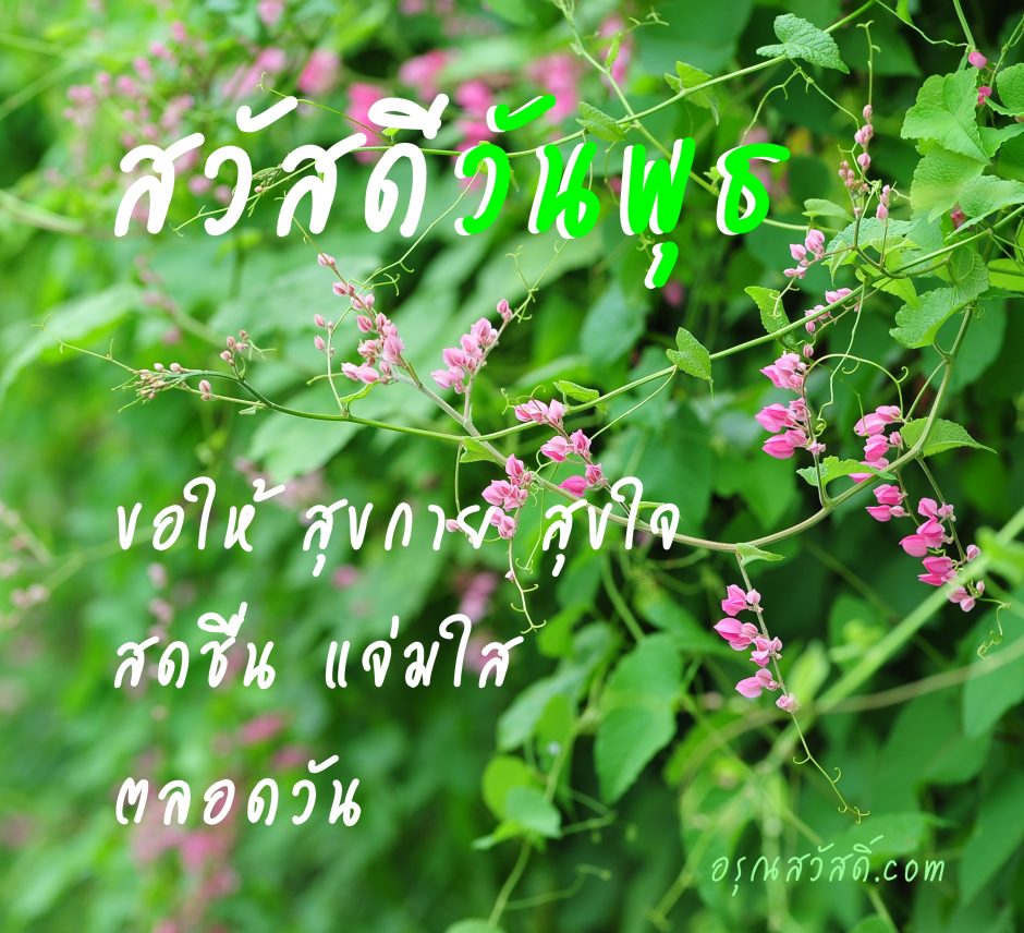 สวัสดีวันพุธ