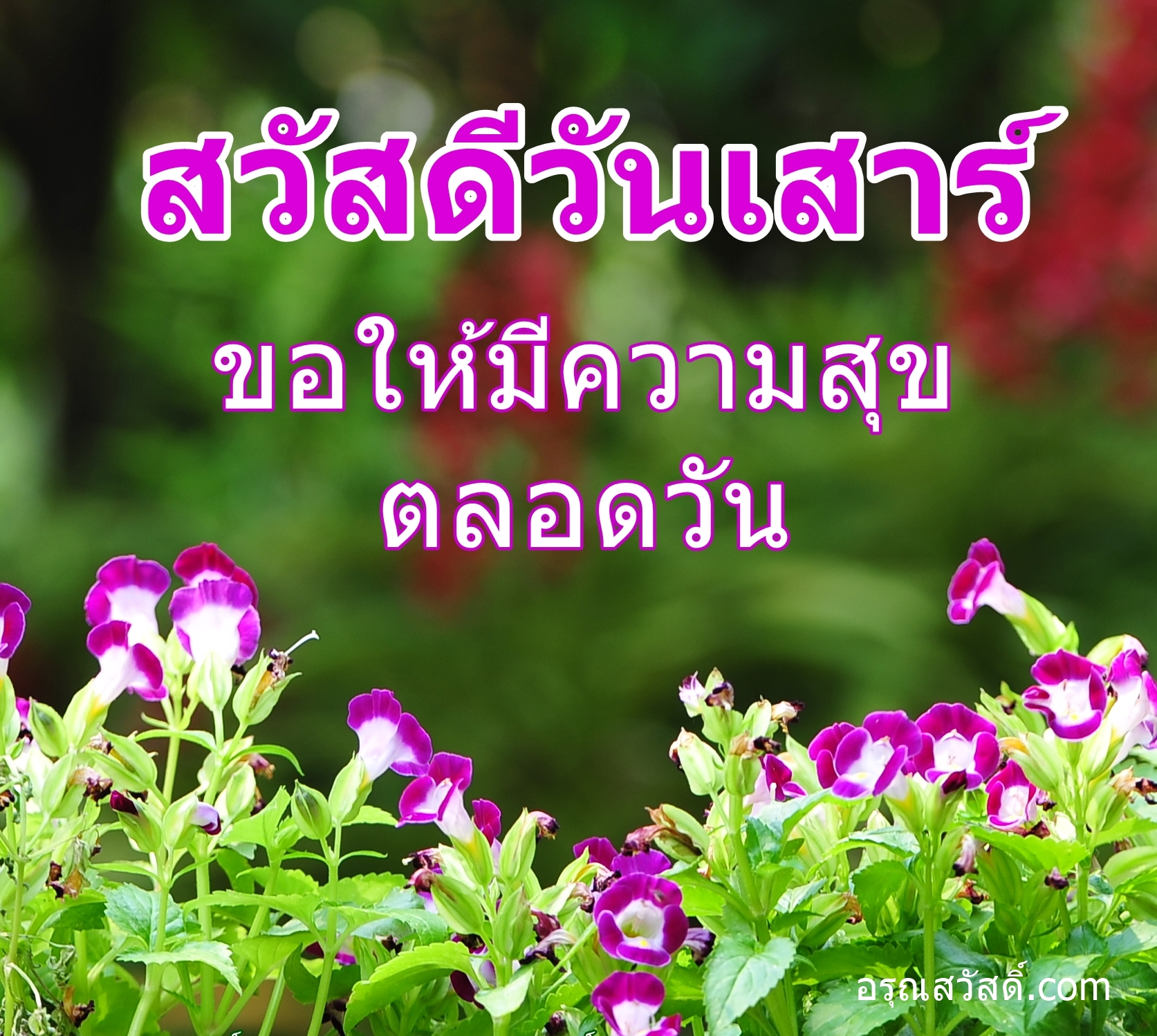 สวัสดีวันเสาร์