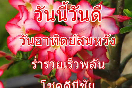 อรุณสวัสดิ์วันอาทิตย์
