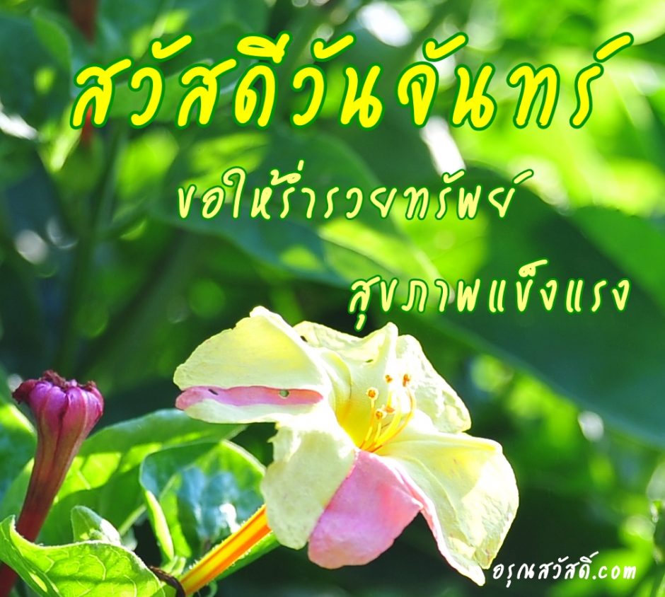 สวัสดีวันจันทร์