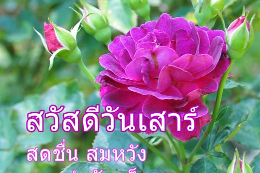 สวัสดีวันเสาร์