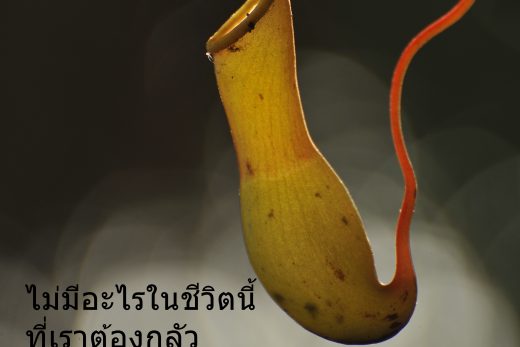 คำคมนักวิทยาศาสตร์