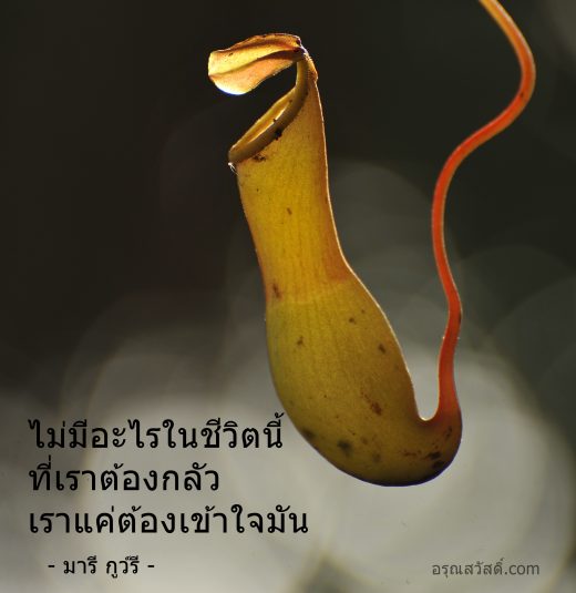 คำคมนักวิทยาศาสตร์