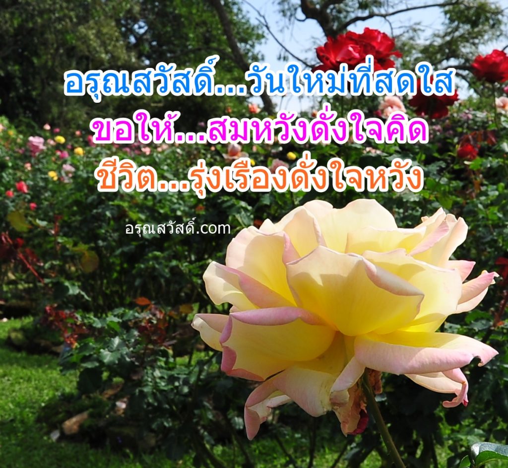 อรุณสวัสดิ์