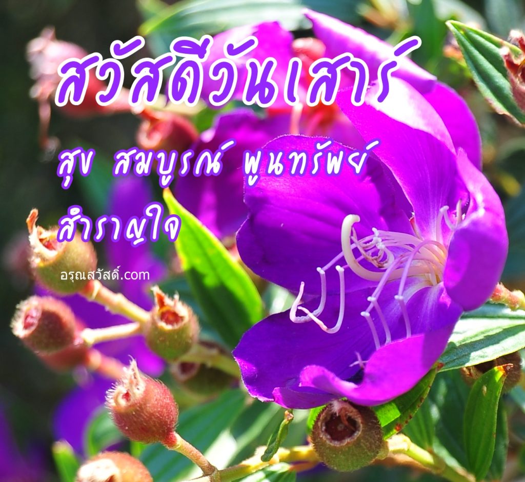 สวัสดีวันเสาร์