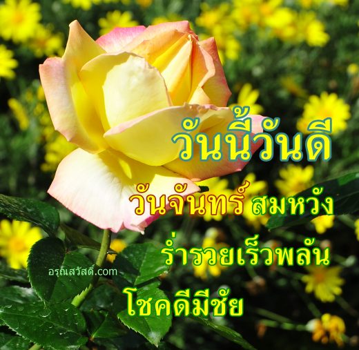 อรุณสวัสดิ์วันจันทร์